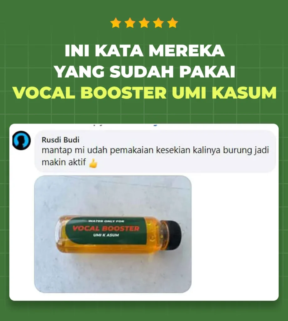 Request-LP-VB-WA---Testimonial-Section02_11zon