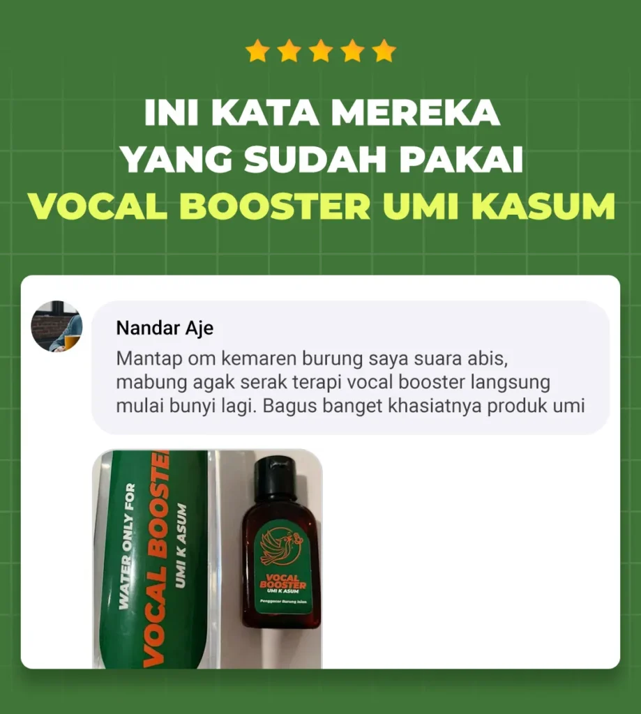 Request-LP-VB-WA---Testimonial-Section05_11zon